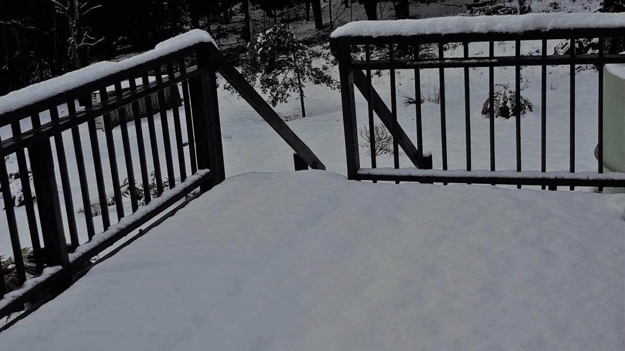 Bed and Breakfast Cradle Alpine Retreat Moina Esterno foto