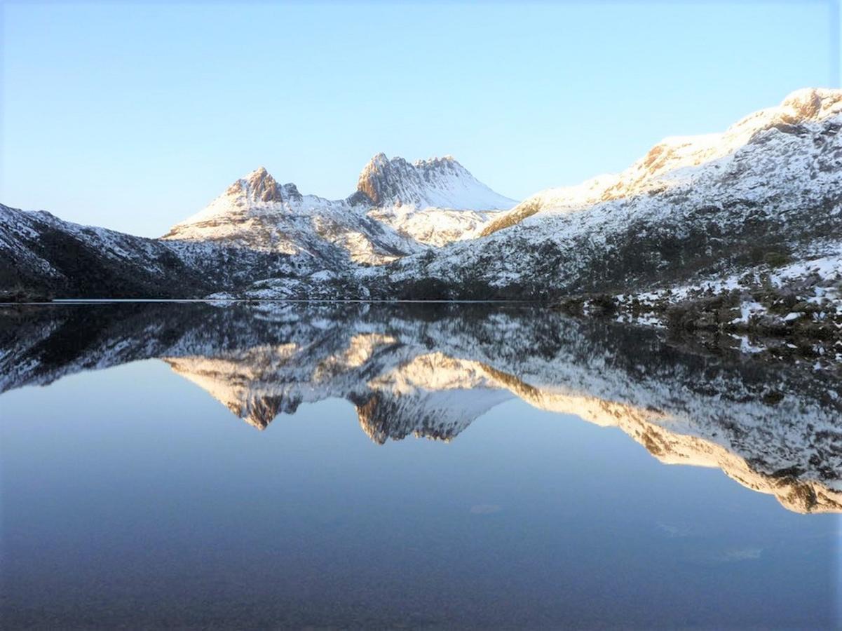 Bed and Breakfast Cradle Alpine Retreat Moina Esterno foto