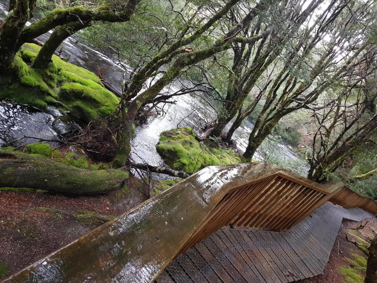 Bed and Breakfast Cradle Alpine Retreat Moina Esterno foto